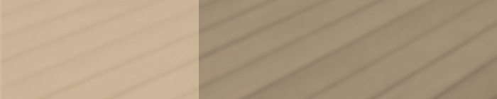 �E�b�h�f�b�L�����鐶��