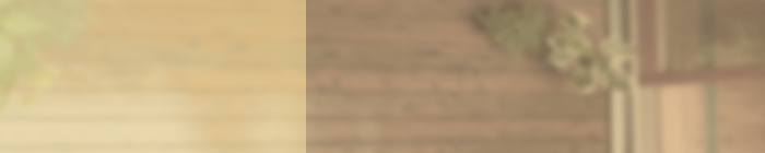 �E�b�h�f�b�L�����鐶��