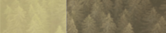 �ގ��ɂ���